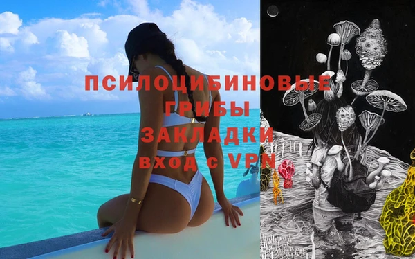 молекула духа Белоозёрский